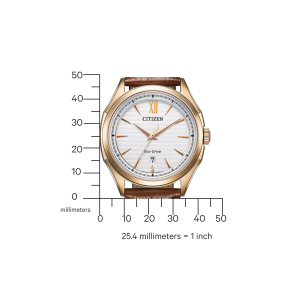 AW1753-10A