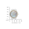 EO1184-81D